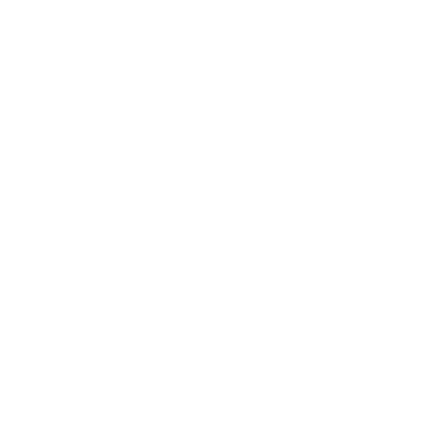 Spider problem pest control services white icon